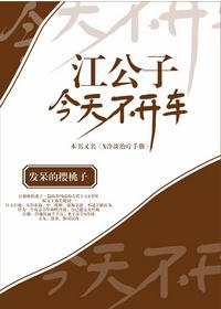 江公子今天不开车107章