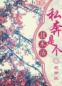 私奔是个技术活作者纪开怀
