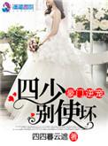 豪门暖婚四少轻轻宠