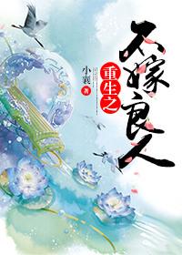 重生之不嫁英雄作者西林葳蕤