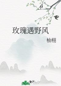 玫瑰遇野风免费阅读