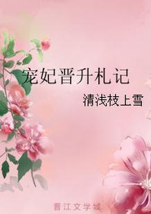 宠妃升职记txt