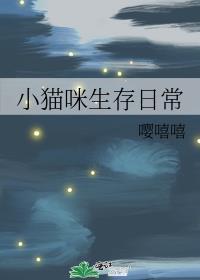 小猫咪生活视频