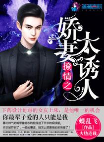 撩情之娇妻太诱人全文阅读