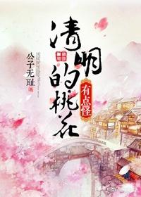 桃花风起正清明txt