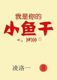 歌曲我是你的小可