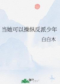 当她可以操纵反派少年番外txt