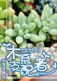 末世之木系支配者 年华转生笔趣阁