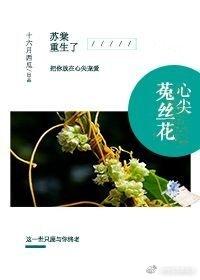 心尖菟丝花免费阅读