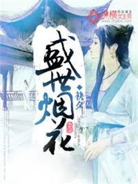 盛世烟花作者
