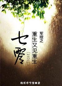 七零军嫂重生又见重生