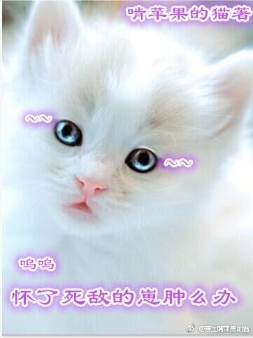 怀了死对头的崽以后(娱乐圈)