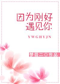 因为刚好遇见你吉他谱