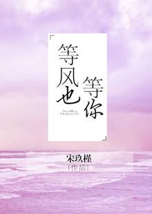 等风也等你的意思