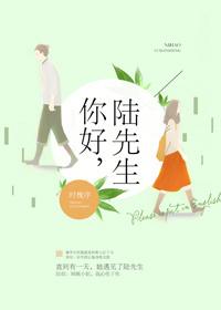 你好陆先生免费全文阅读