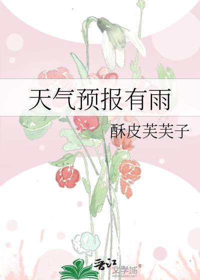 天气预报有雨全文免费阅读
