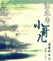 重生为小哥儿 [银推