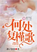 何处复槿歌全文免费阅读