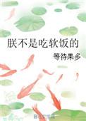 朕不是受