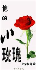 他的小玫瑰百度txt