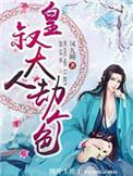 皇叔大人劫个婚萧辰
