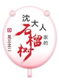 沈大人家的石榴树正版
