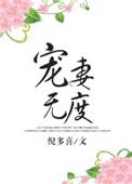 冷面王爷宠妻无度