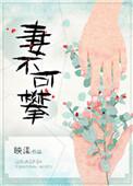 妻不可攀讲的什么