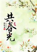 共春光txt