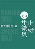 那年微风刚好句子