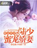 婚途漫漫陆少蜜宠娇妻