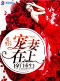 豪门重生之宠妻在上简介