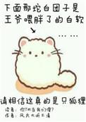 你尾巴戳到我了糖中猫