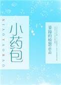 小药包讲的什么