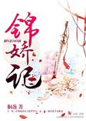 锦娇记 讲什么