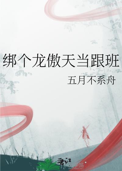 一个叫龙傲天
