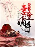 重生之嫡妻手册