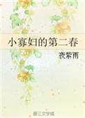 小寡妇的第二春免费