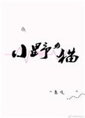 小野猫组合因票房不佳取消巡演