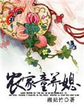 农家童养夫