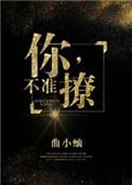 你不准撩免费