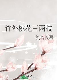 竹外桃花三两枝全诗