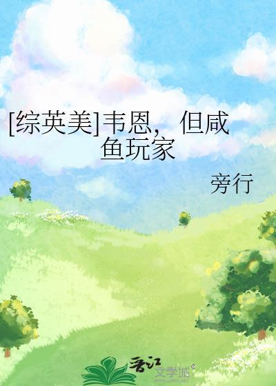 主角姓韦恩的综英美