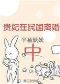 贵妃在民国离婚中男主叫什么名字