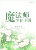 魔法师的生存手册