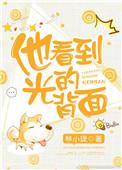 他看到光的背面by林小珑txt