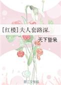 红楼之夫人套路