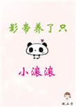 影帝养了只小滚滚 作者秋二方