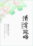 攻略清宫文