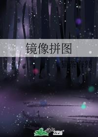 镜像拼图txt